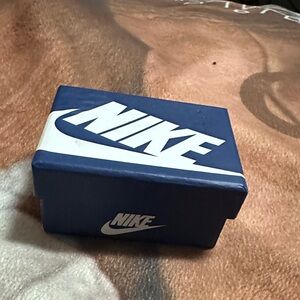 Labubu Nike shoes and box